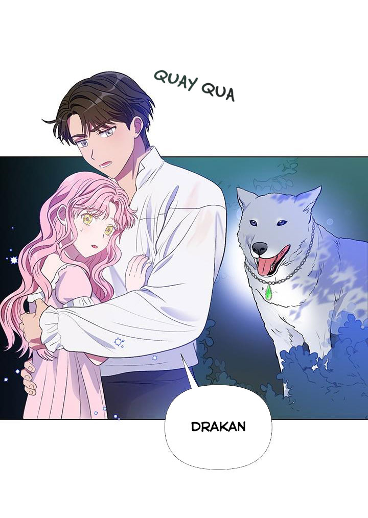 elizabeth chapter 11 8