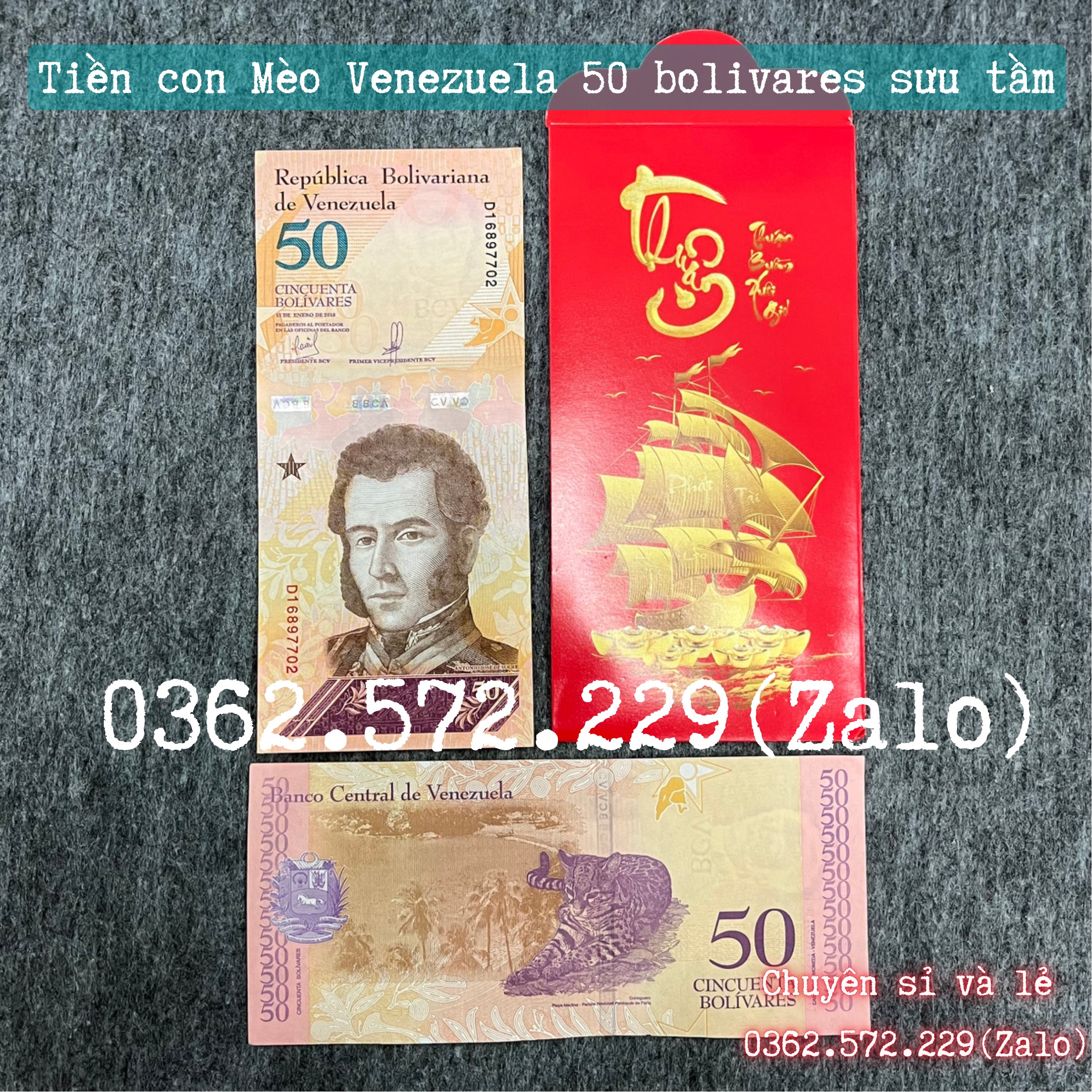 Tiền Hình Con Mèo Venezuela Lưu Niệm Lì Xì Tết 2023