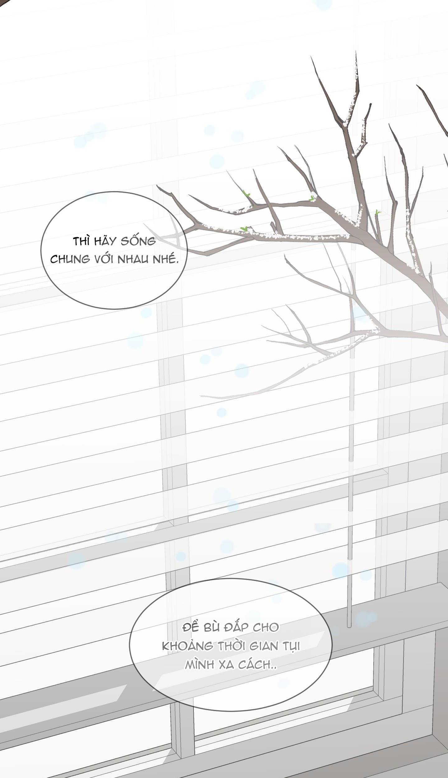 missing romance chapter 1 15