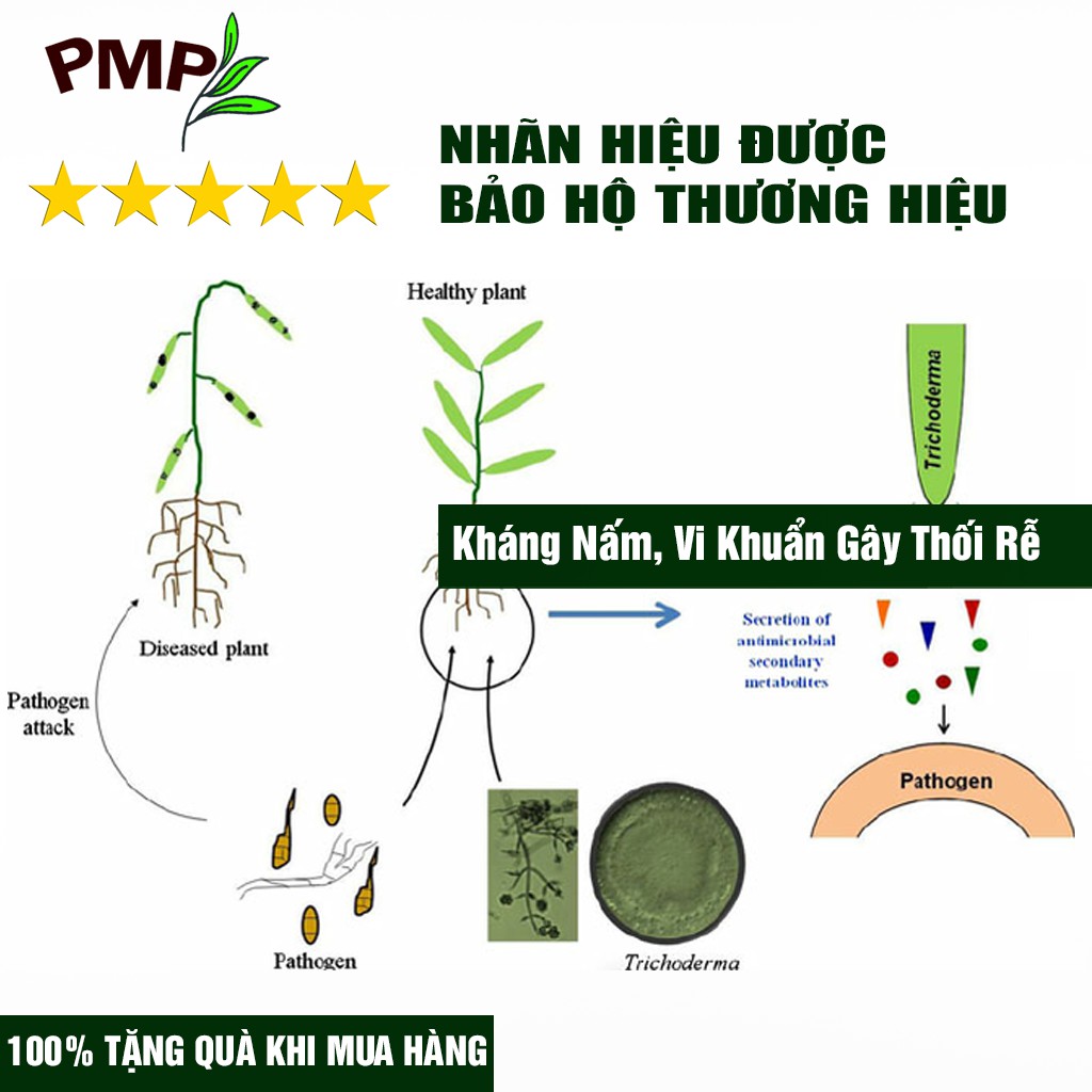 Nấm Trichoderma PMP Nấm Đối Kháng Phòng Thối Rễ, Ủ Phân Hữu Cơ Từ Rác Thải Hữu Cơ 200g