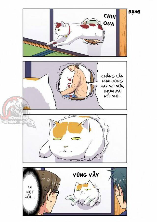 cat is silver vine chapter 10 2