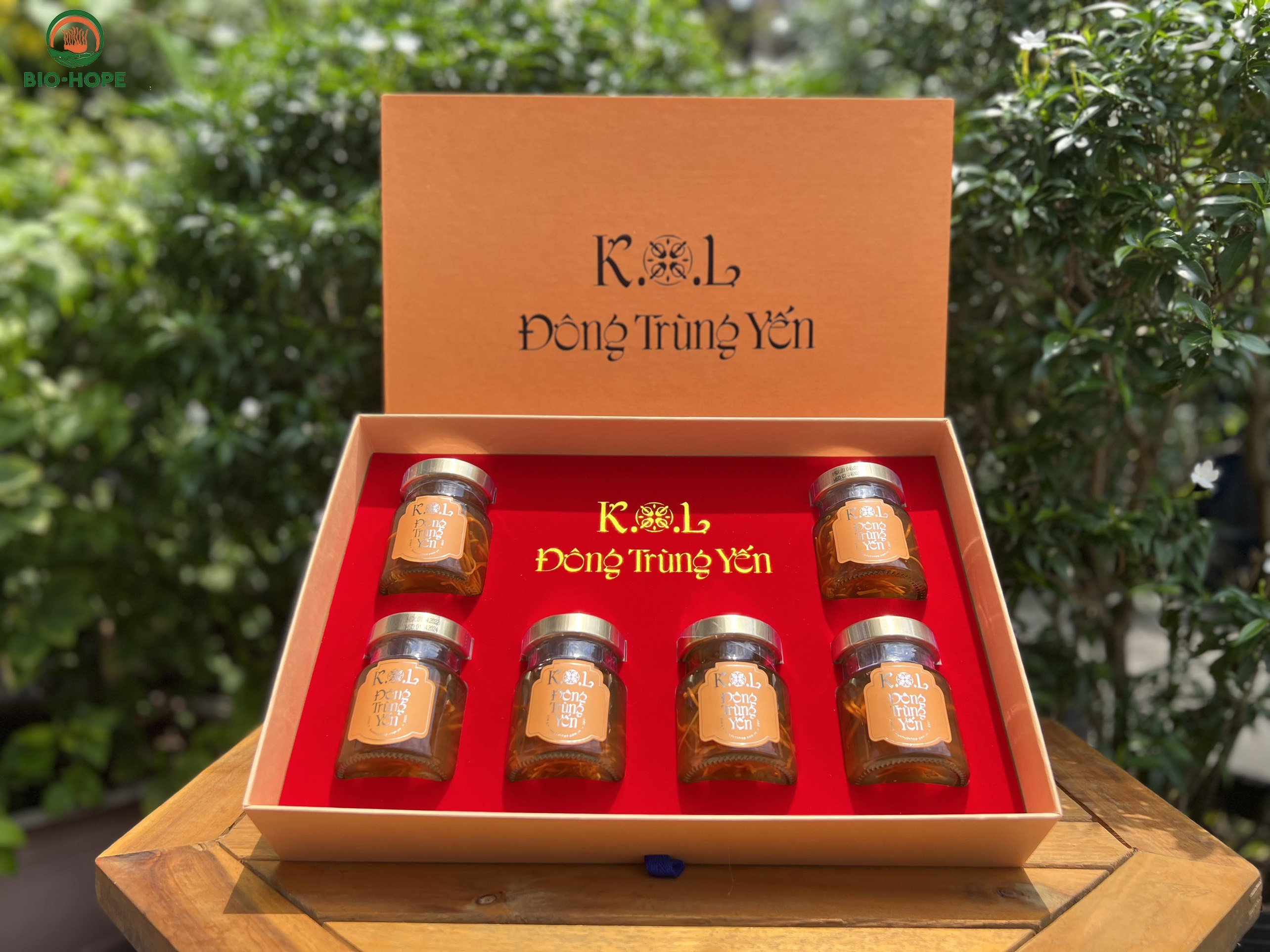 Combo 6 Hũ Đông Trùng Yến Premium Nguyên Chất BIO HOPE, Kết Hợp Giữa Đông Trùng Hạ Thảo Và Yến Sào Nguyên Chất