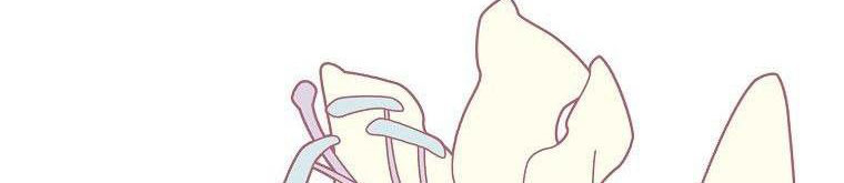 xin hãy kết hôn với em chapter 37 485