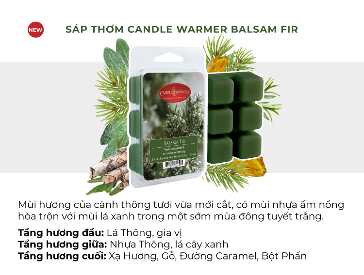 Sáp thơm Candle Warmer - Balsam Fir