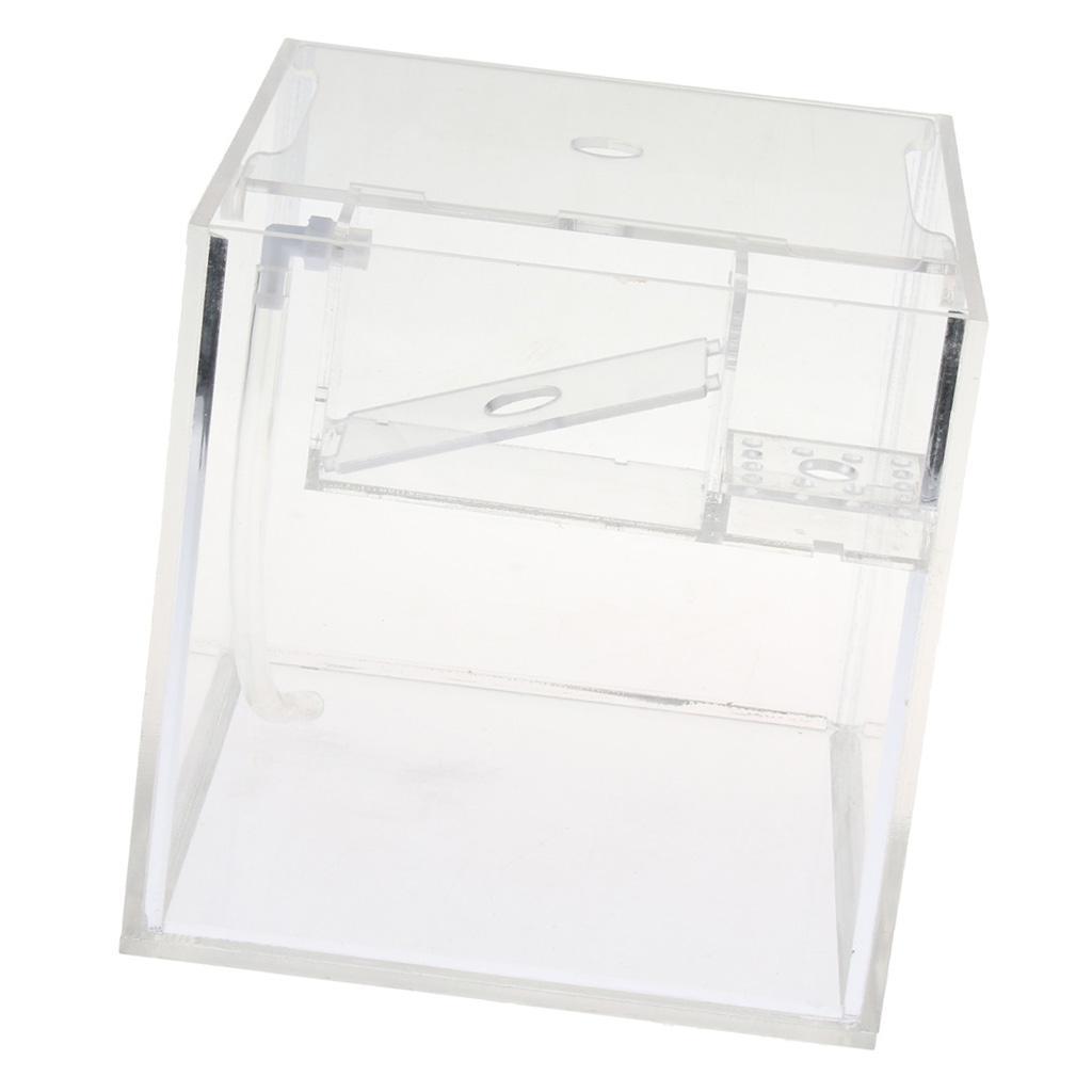 Tropical Betta Mini Tank Arcylic Aquarium Small Tank