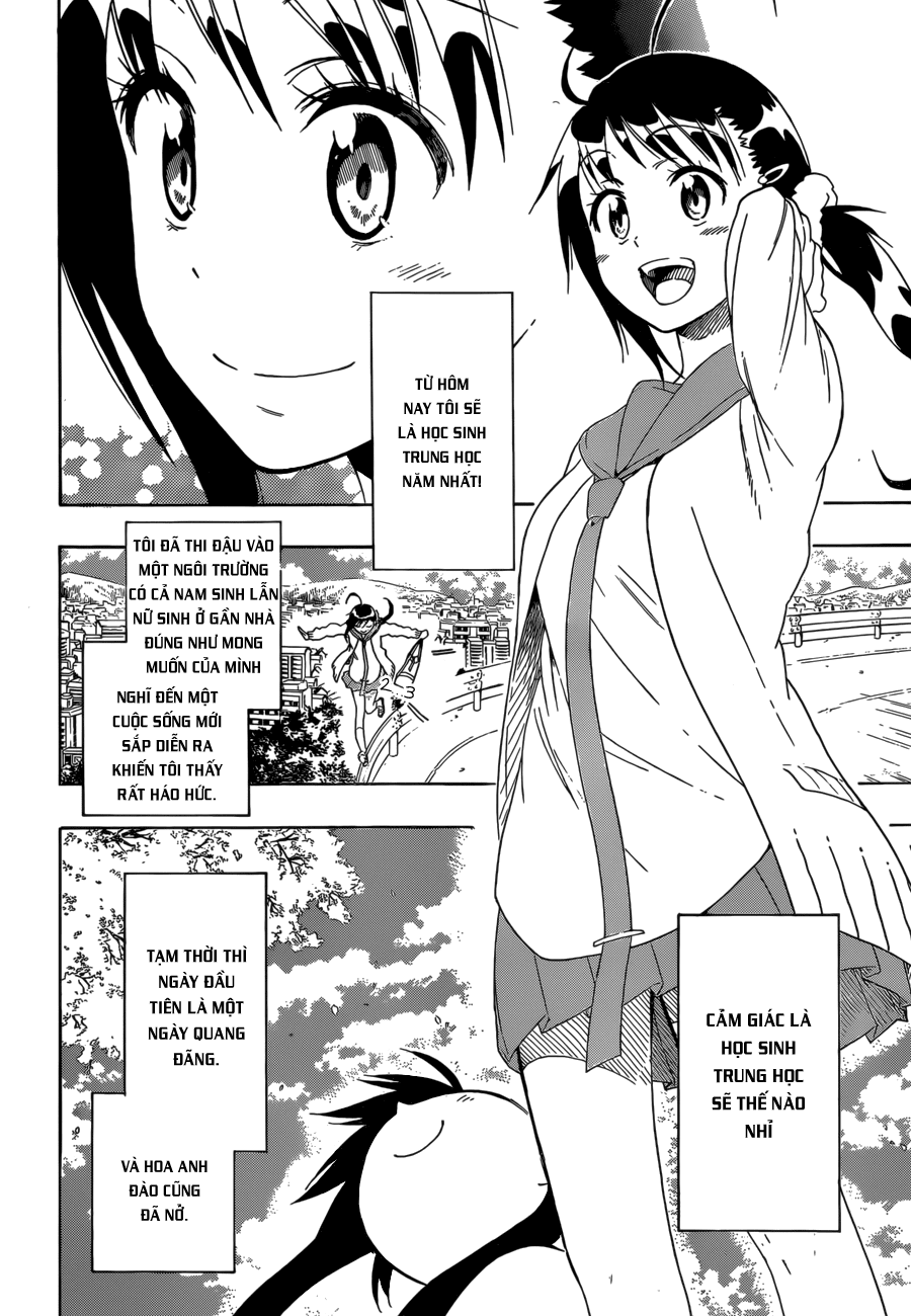nisekoi - tình yêu giả tạo chapter 75 3