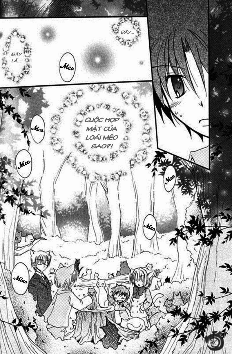 boku x neko? chapter 3.2 3