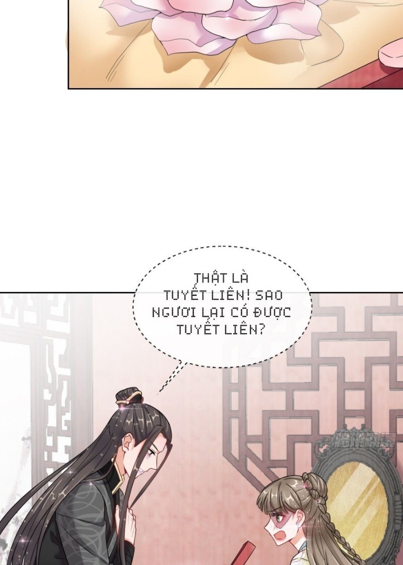 công lược trưởng thành của vương phi chapter 6 5