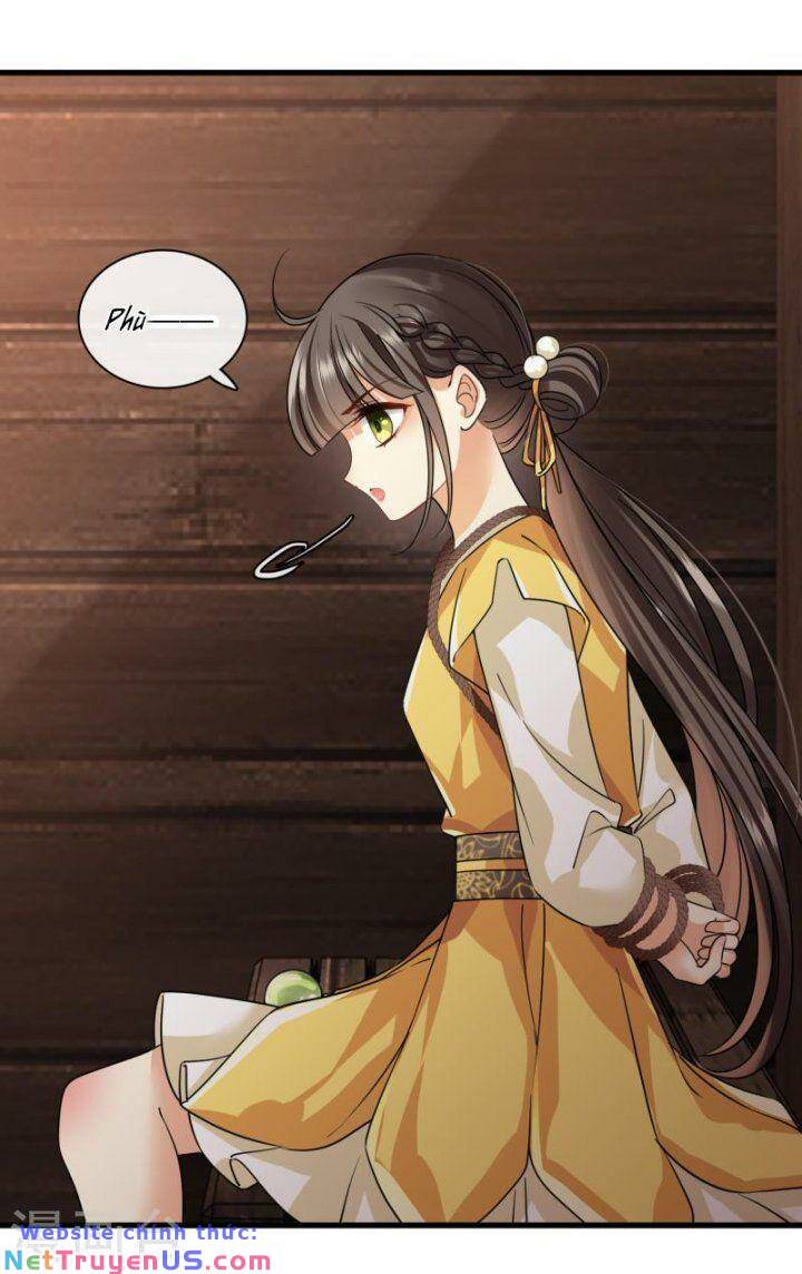 nụ cười của nàng liền ngọt đảo ta tám viên nha chapter 51 26