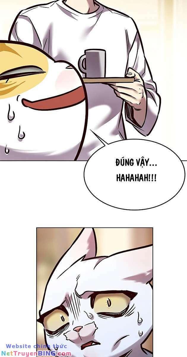 biến thân thành mèo chapter 278 13