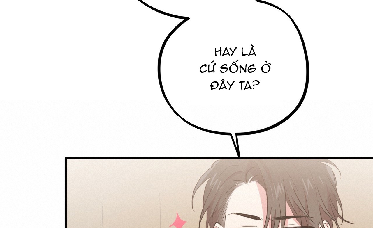 đàn thỏ của habibi chapter 19 250