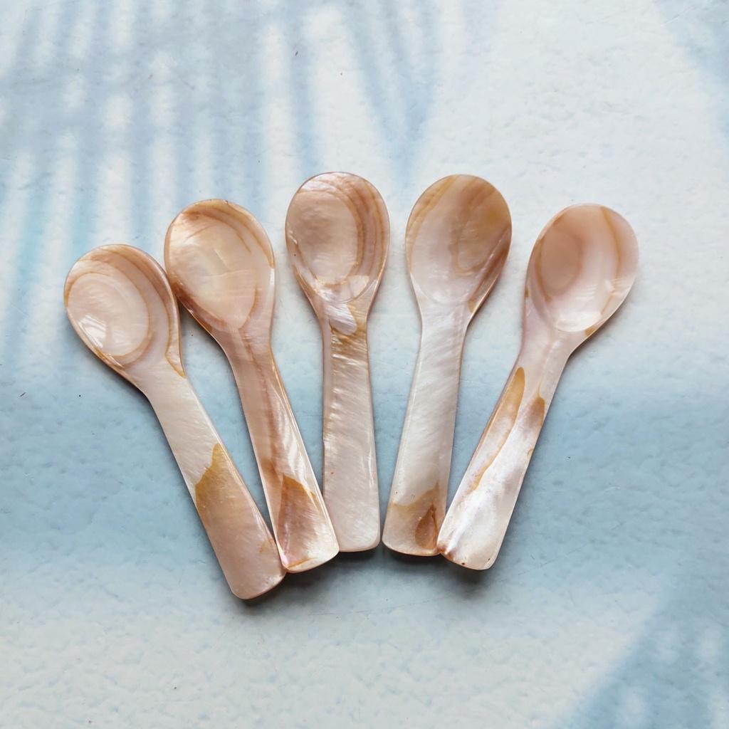 Thìa Trai Hồng 10cm Xúc Trứng Cá Hồi, Trứng Cua, Thìa Trai Tự Nhiên Chụp Ảnh Decor