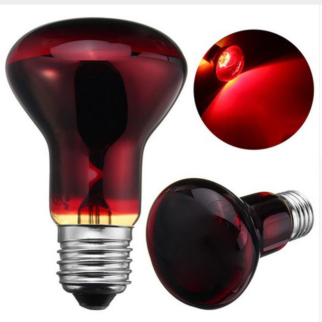 2 Pcs Reptile Tortoise Vivarium Heat Lamp Spot Basking Night Light 100W