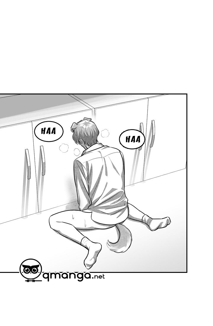 khi cún biết yêu chapter 1 13