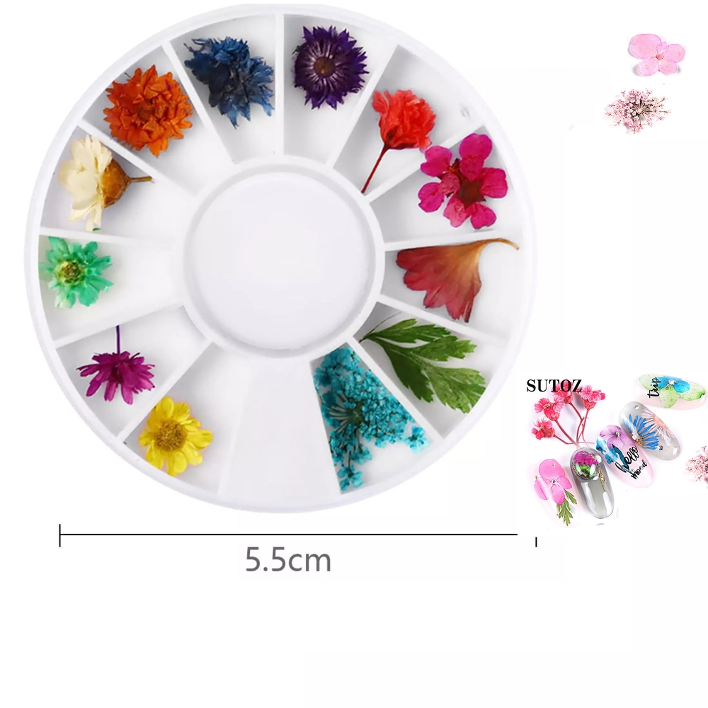 Set Hoa Khô Trang Trí Nail Hỗn Hợp Khay Tròn Đa Dạng Kiểu Dáng kích thước, Đính, Có Thể Kết Hợp Nhiều Phong Cách Ý Tưởng Khác Nhau