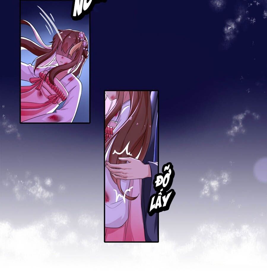 hãn phi đương gia: lãnh vương xin tự trọng chapter 2 7