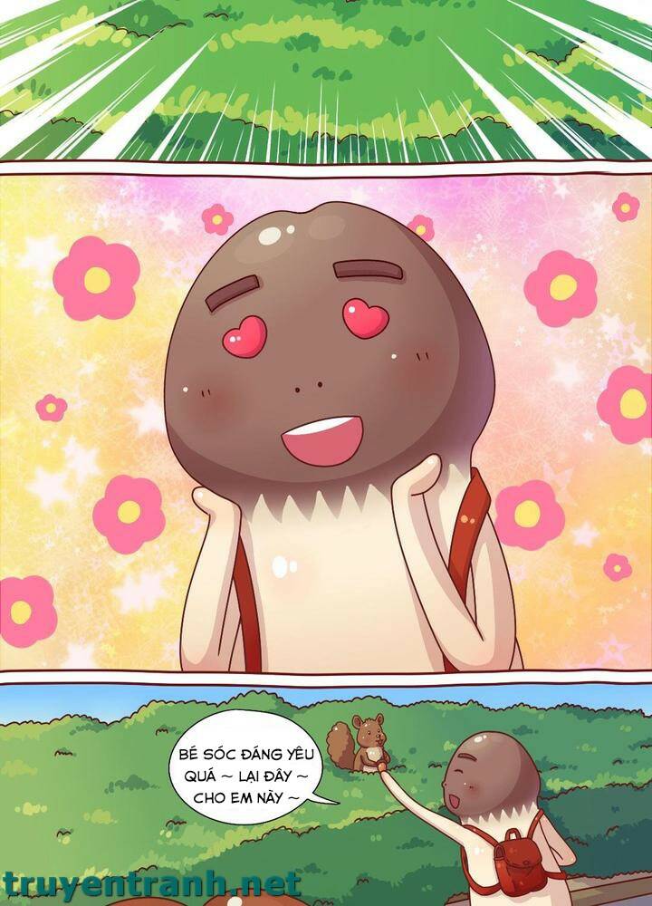 cây nấm kì khả chapter 13 8