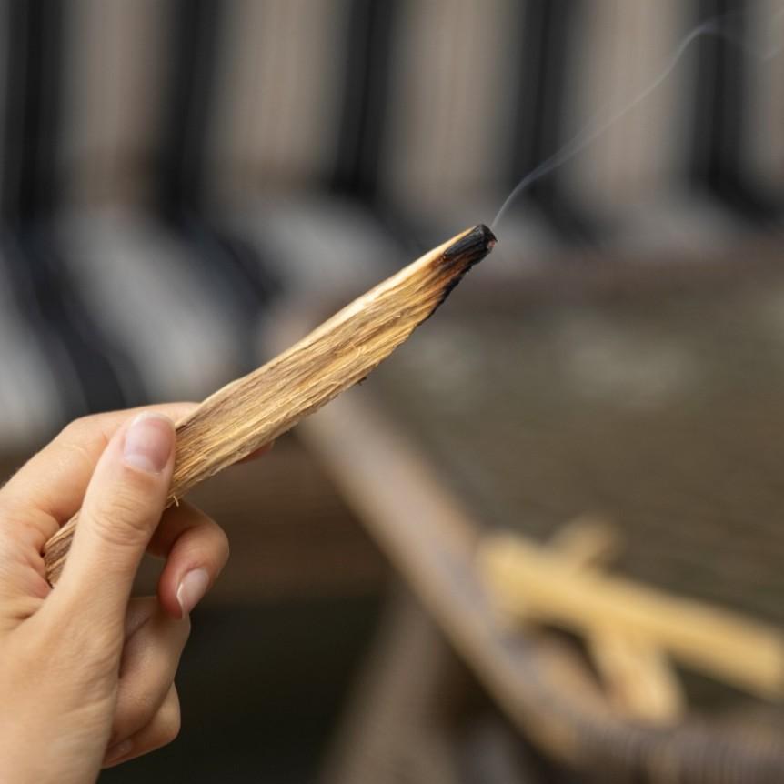 Gỗ Palo Santo Giảm Stress & Tái Tạo Năng Lượng l XÔ THƠM THANH TẨY