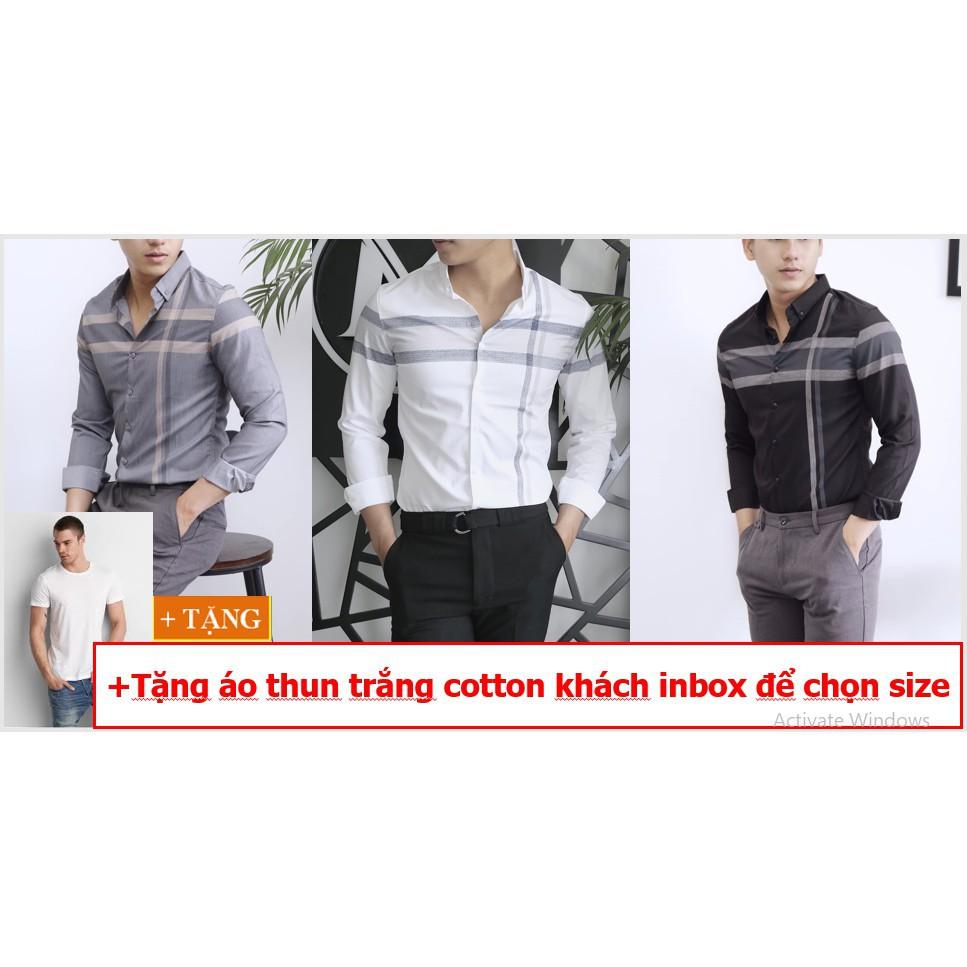 COMBO ÁO SƠ MI SỌC AK01 TẶNG ÁO THUN COTTON THEO SIZE