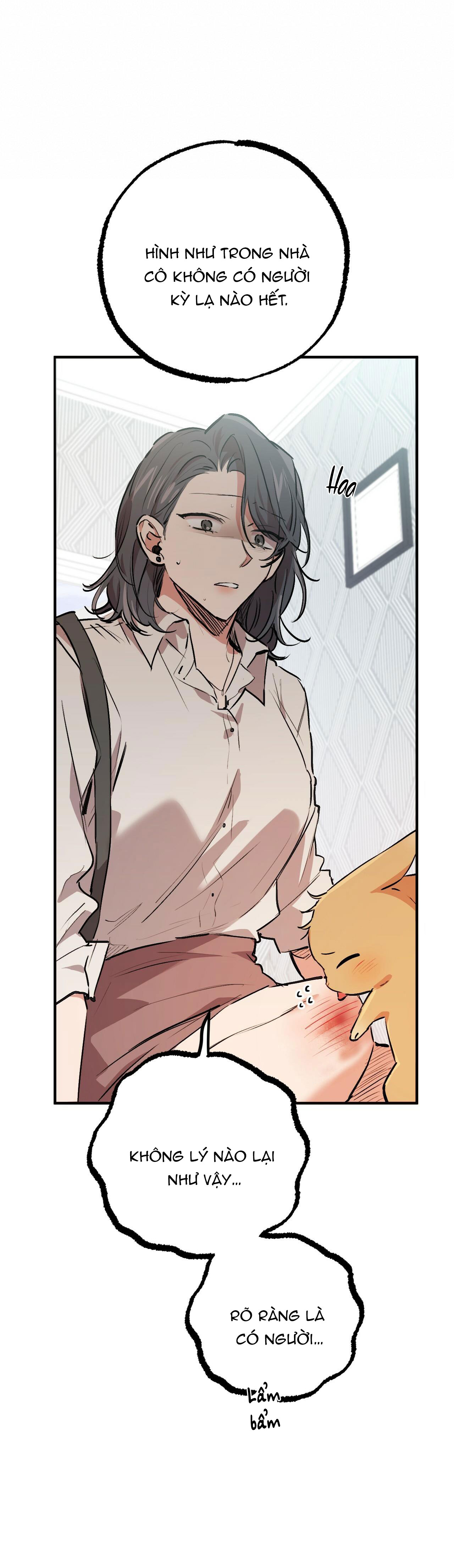 những chú thỏ của hapypy chapter 33 60