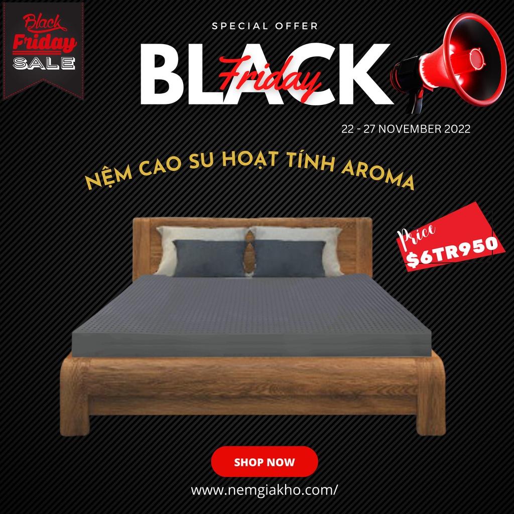 Nệm Aroma Mattress Cao Su Than Hoạt Tính Độ Đàn Hồi Cao Thoáng Khí Giúp Ngủ Ngon Giấc Hơn (Được Kiểm Hàng)