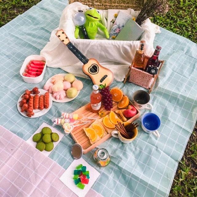 Thảm PVC Sọc Caro, Khăn Trải Bàn, Phông Nền Chụp Ảnh, Picnic Dã Ngoại Chống Thấm Nước
