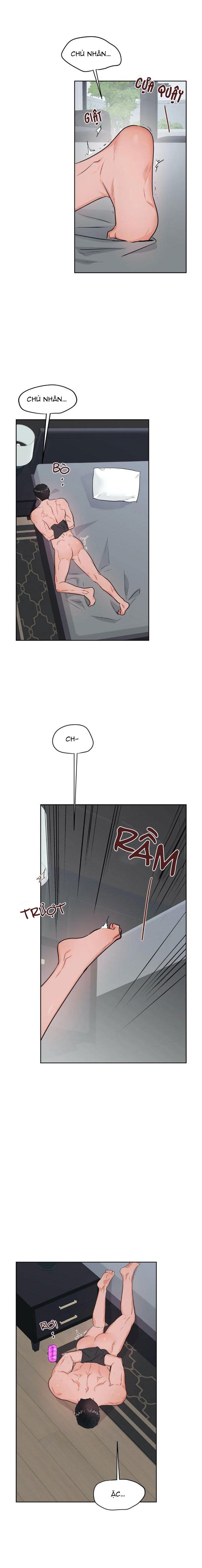 thầy giáo thể dục m chapter 36 11