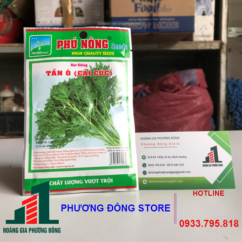 Combo 5-10 gói hạt giống rau Tần ô kháng bệnh tốt, trồng quanh năm - gói 20g