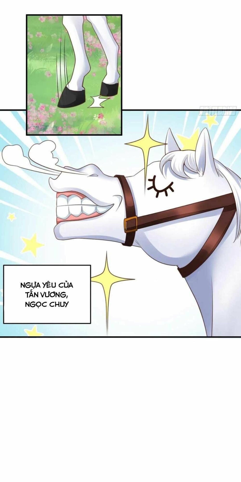 thuần hóa ba ba bạo quân chapter 28 37