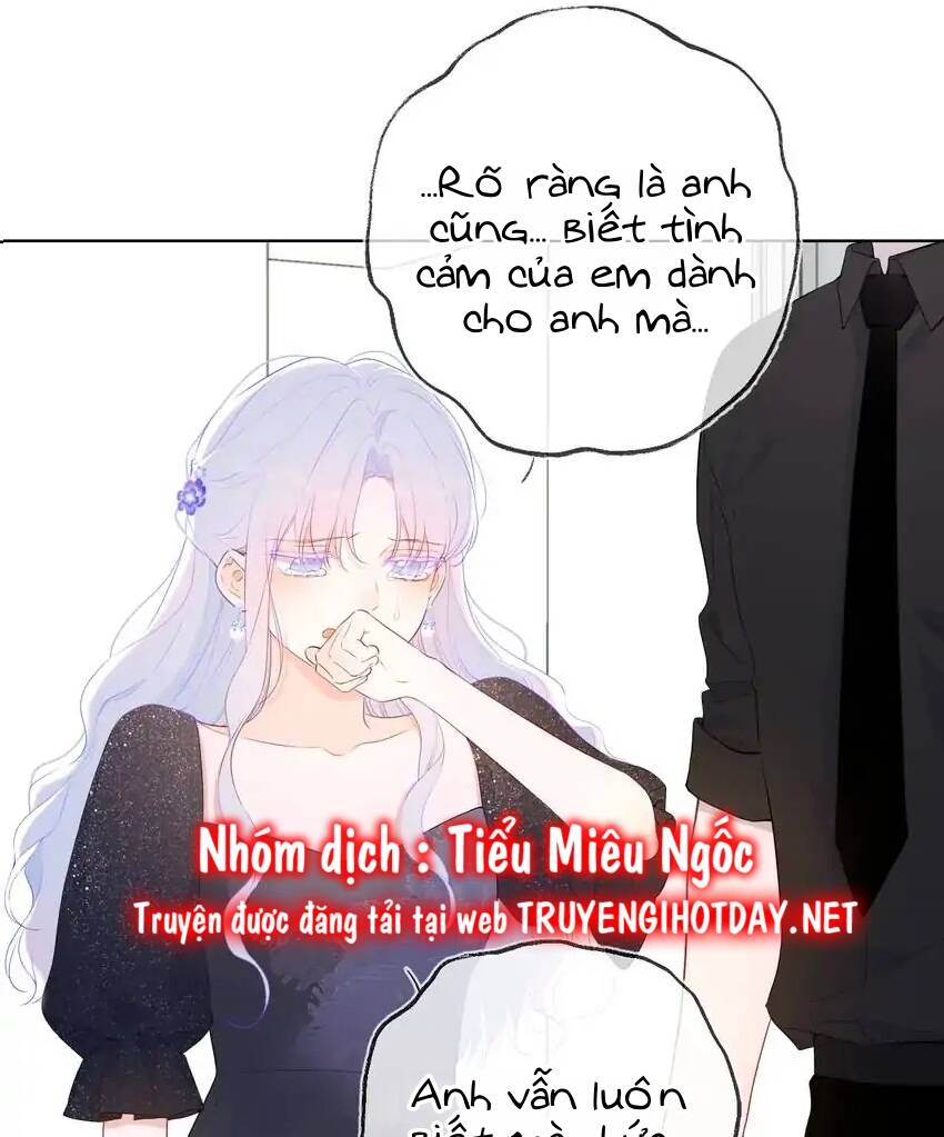 vì sao của tôi chapter 130 17