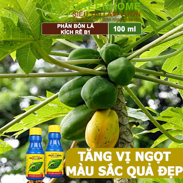 Phân Bón Kích Rễ, Greenhome, B1, Chai 100ml, Tạo Mầm, Rễ Khoẻ, Sai Hoa, Phục Hồi Rễ Yếu, Lá Dày