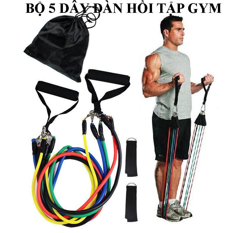 Dụng cụ tập gym, Dây đàn hồi tập gym, Bộ 5 dây đàn hồi tập thể hình gọn nhẹ, có tính đàn hồi cao, bền, an toàn