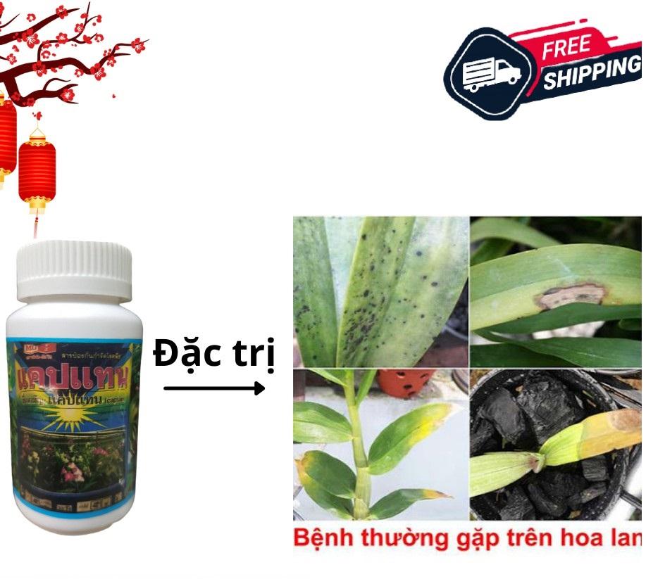 Captan đặc trừ bệnh thối nhũn vàng lá