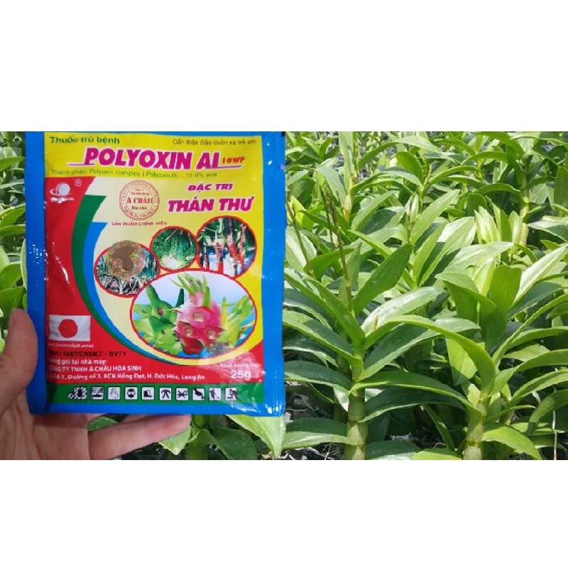 Polyoxin AL 10WP trừ bệnh cây trồng - Gói 25gram