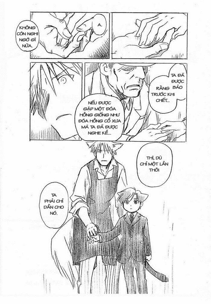 maiden rose-special chapter 11.1 23