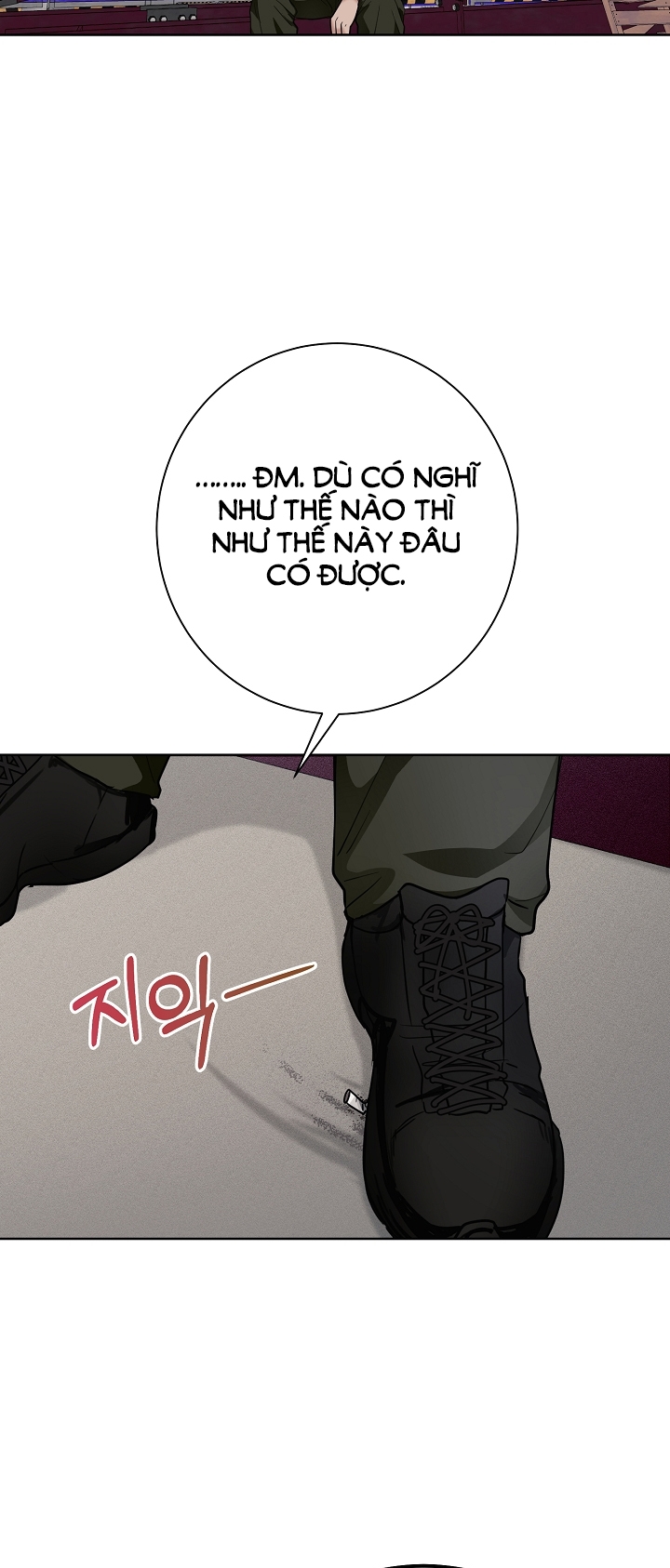 11336 chapter 22.2 - Trang 13
