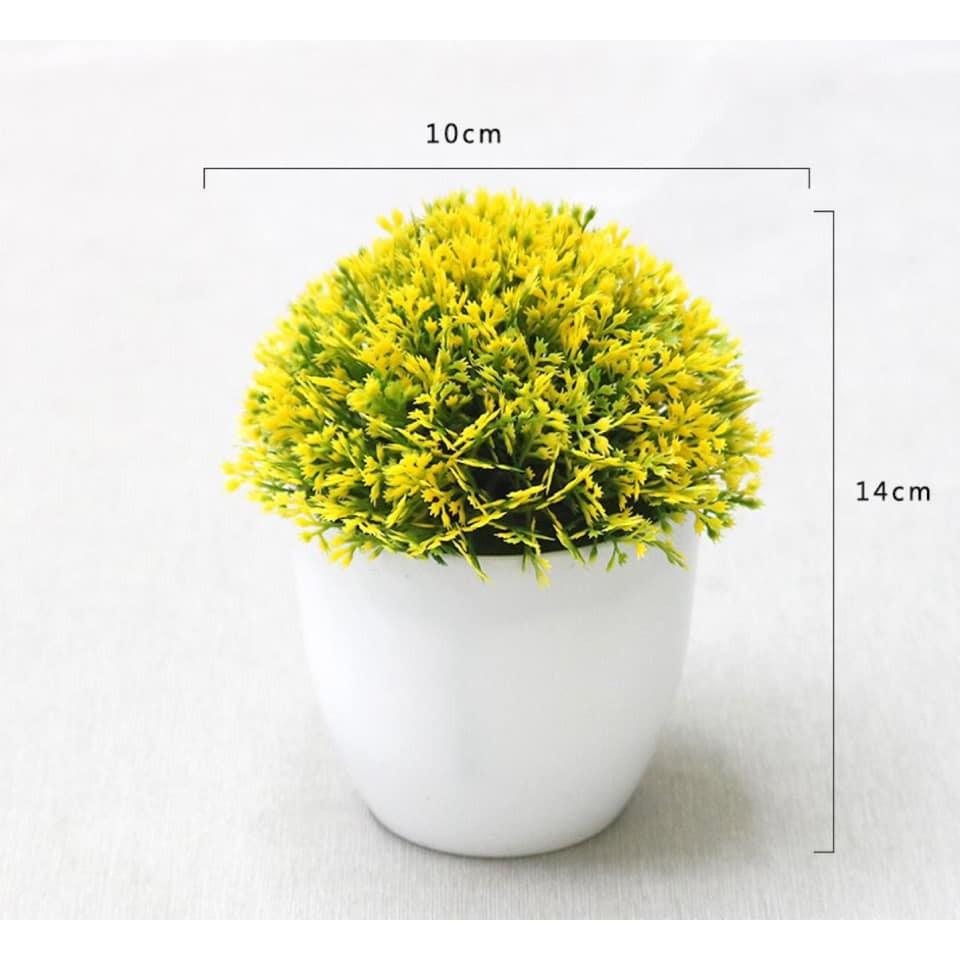 Chậu cây xanh nhân tạo để bàn trang trí, để kệ tủ độc đáo 10cm x 14cm (chọn màu