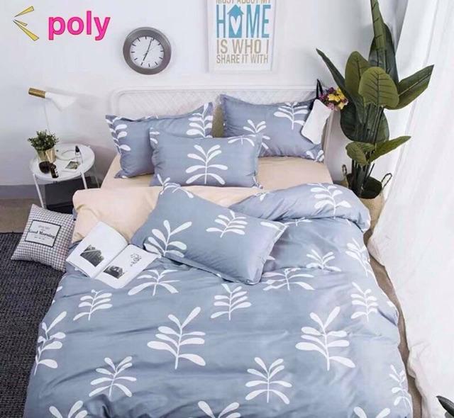 Cotton Poly Hàn Quốc