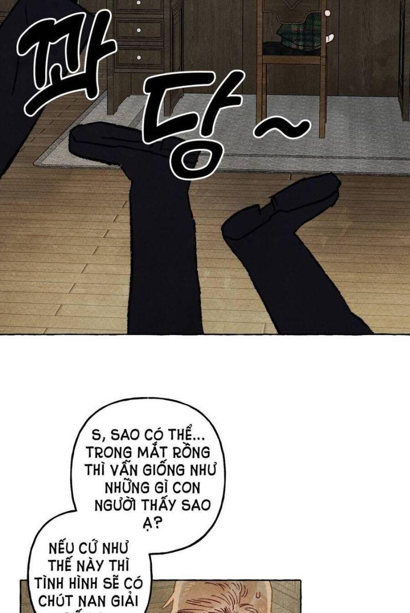 nuôi dưỡng một hắc long chapter 62.1 17