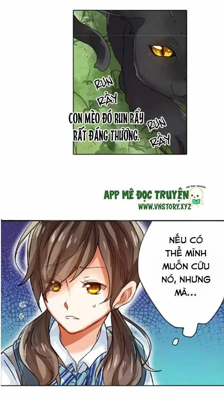 ngàn vạn nụ hôn đầu chapter 1 27