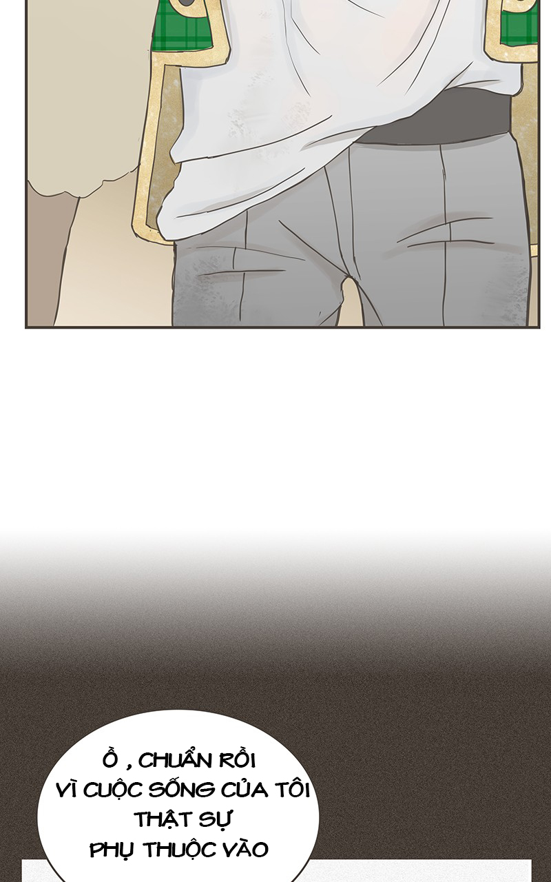 những nàng công chúa bị nguyền rủa chapter 23 17