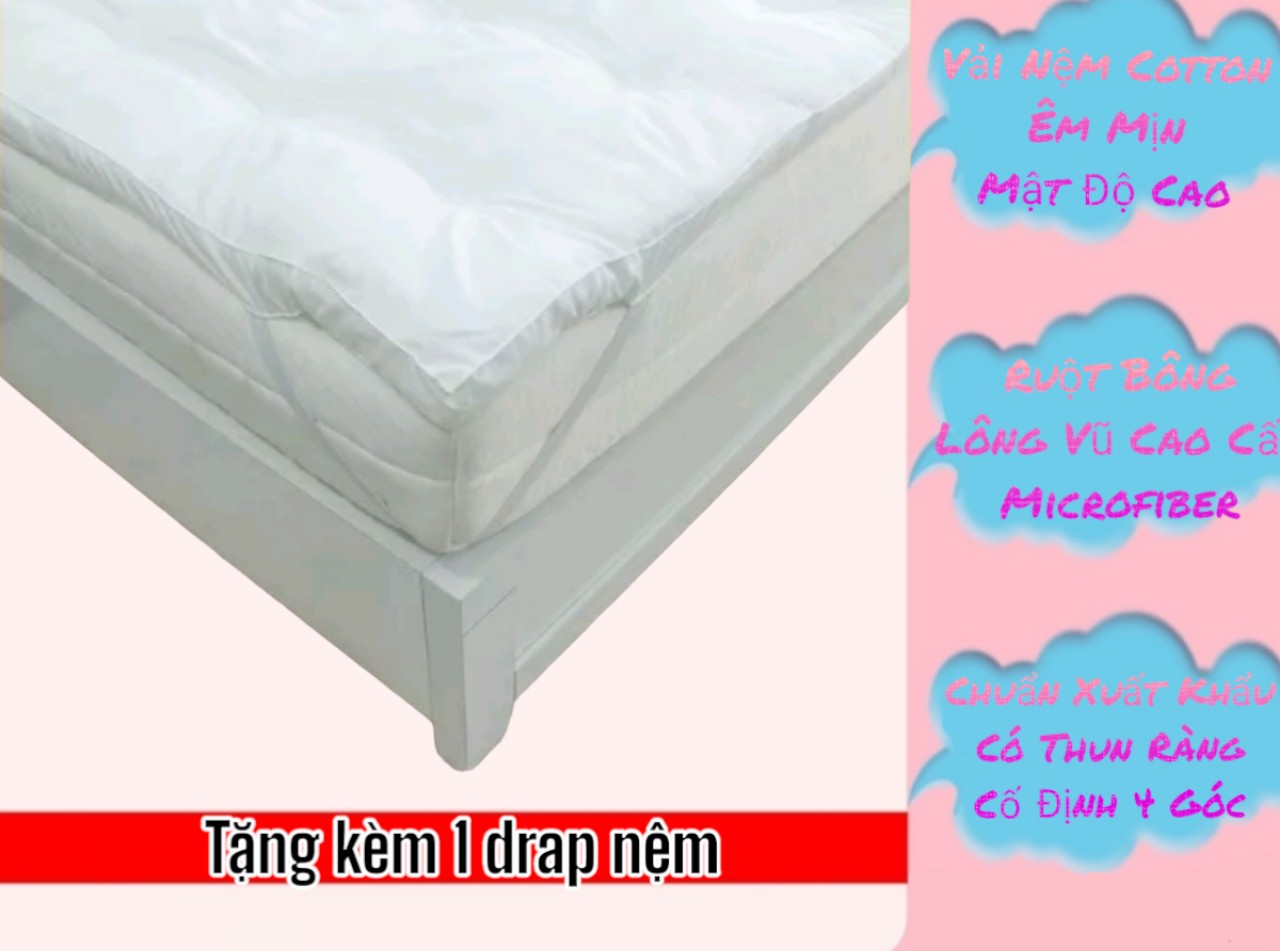 Nệm Bông Xuất Nhật Cao Cấp 10CM
