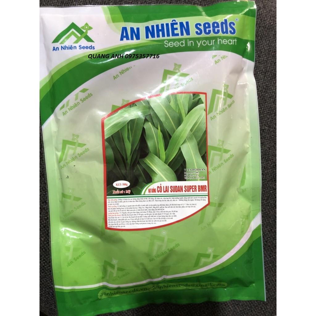 HẠT GIỐNG CỎ LAI SUDAN SUPER BMR 500gr