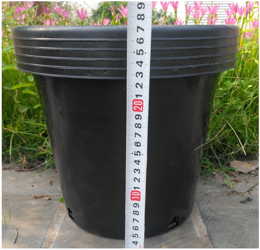 2 Chậu Nhựa Đen AF300x280A Nhựa PP, Kích thước 30x28cm - Siêu Bền Đẹp!