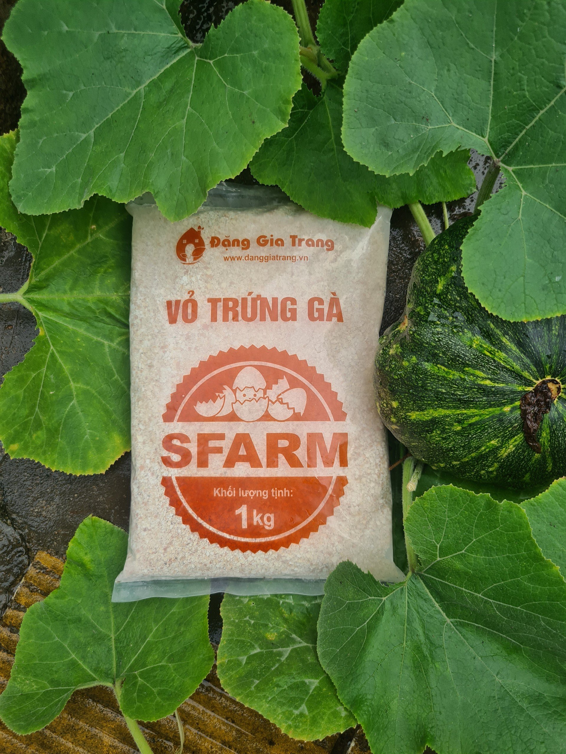 Vỏ Trứng Gà Sfarm Đã Qua Xử Lý Dùng Để Bón Cây Và Rau Sạch Gói 1 KG