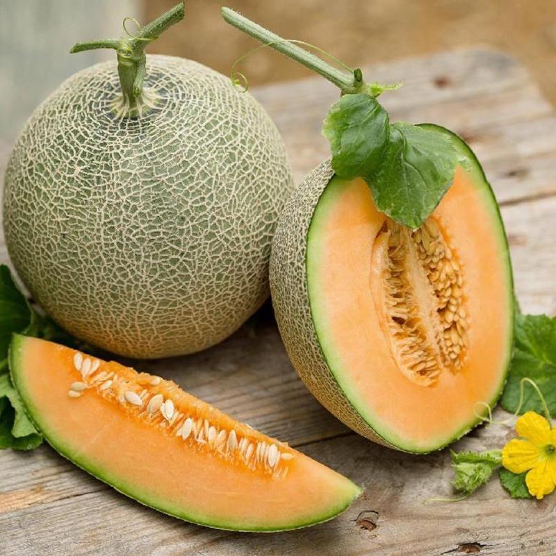 Hạt giống Dưa lưới F1, ruột vàng hoặc ruột đỏ, đóng gói 10 hạt