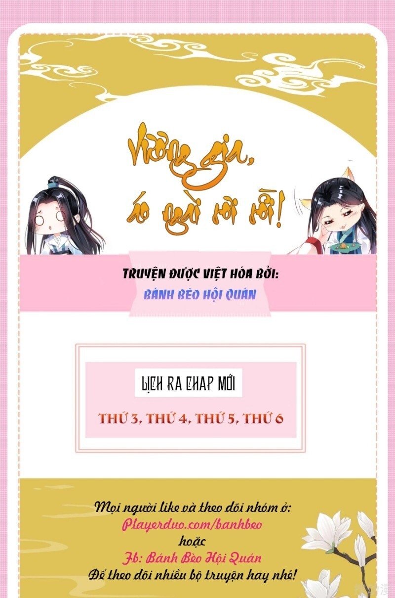 vương gia, áo lót của ngươi rơi mất rồi chapter 44 41