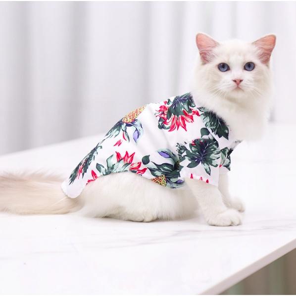 Áo đi biển cho chó mèo có size lớn thoáng mát mẫu đẹp - Phù hợp đi biển và dạo phố