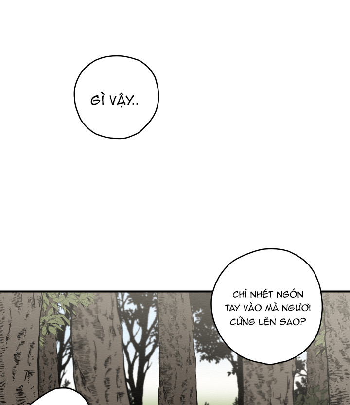 đường hoa liên kiều rơi chapter 19 30