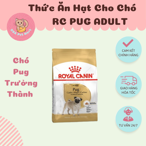 Royal Canin Pug Adult - Thức Ăn Hạt Cho Chó Pug Trưởng Thành